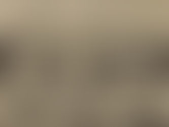 ¿QUÉ NOS CUENTAN LOS CAMELLOS 🐪 DEL PALACIO ZEN?