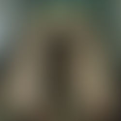 ¿QUÉ COMER EN  VENECIA? 10 PLATOS TÍPICOS DE SU GASTRONOMÍA