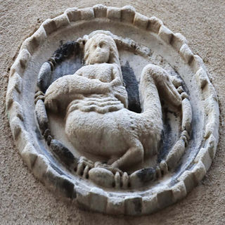 LAS SIRENAS ¿VOLADORAS? 🐦