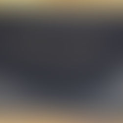 EL DUX BORRADO QUE PERDIÓ LA CABEZA ¿POR AMOR?