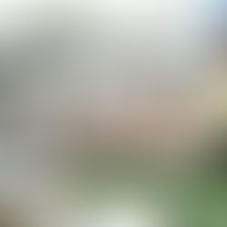 OSPEDALE DE SAN PIETRO E PAOLO Y EL PEREGRINAJE A TIERRA SANTA