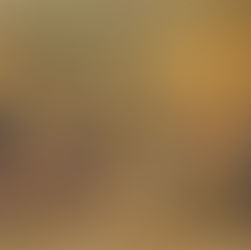 31 DE ENERO 828: EL CUERPO DE SAN MARCOS LLEGA A VENECIA