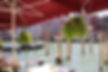 Riva del Vin Venezia