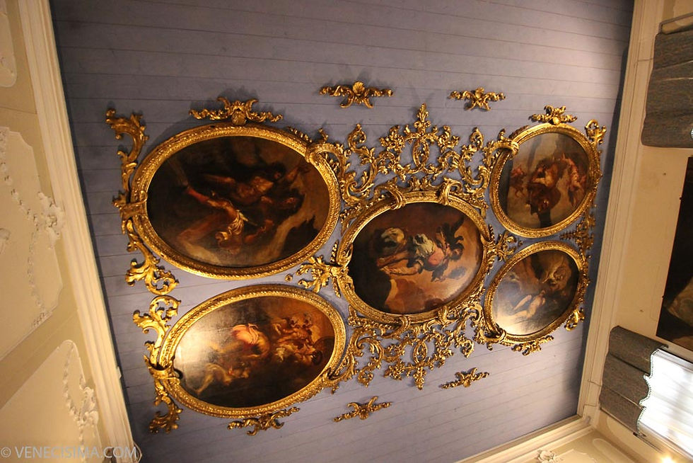 Techo de la Sala Lazzarini