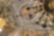 Detalle del efecto ilusorio de la sala