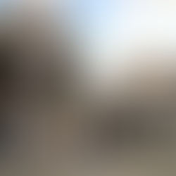 ¿POR QUÉ ESTA PUERTA DEL PALACIO DUCAL SE LLAMA PORTA DELLA CARTA (DEL PAPEL)? 🚪🗝️📃