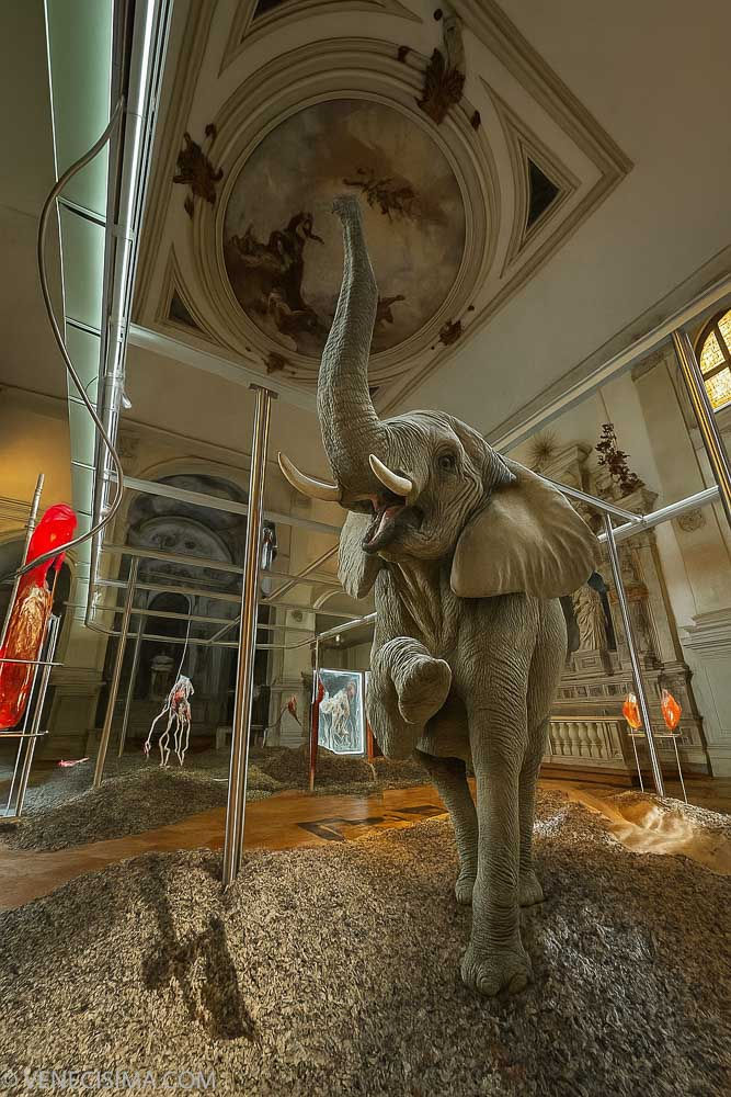 Recreación del elefante en el interior de la iglesia de Sant'Antonin