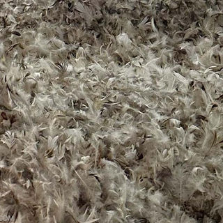 LOS LANERI: LA IMPORTANCIA DE LA LANA EN LA SERENISSIMA