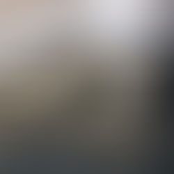 LA CABEZA DE UN ÁNGEL ATRAPADA EN UNAS ESCALERAS DEL GRAN CANAL