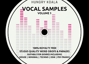 Cover of Royalty Free Vocal Sample Pack