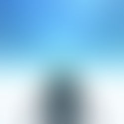 Mind Body Connection