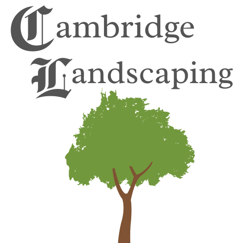 Cambridge Landscaping