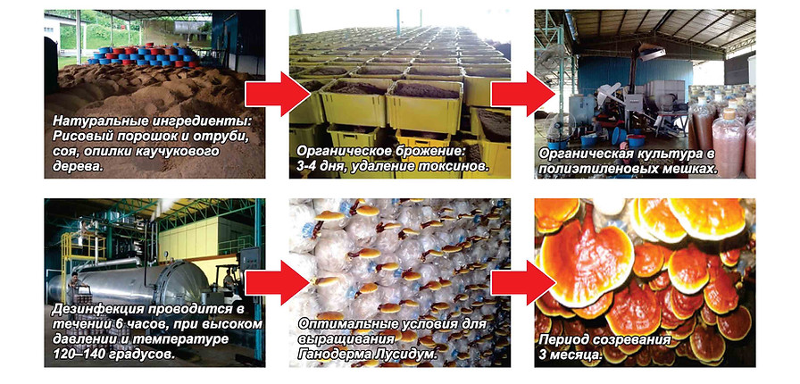 0_Page_037 РєРѕРїРёСЏ.jpg