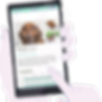 2.png