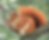 AD3B70F9-2AC9-4267-B083-AB18A85BF24E_1_201_a.jpeg