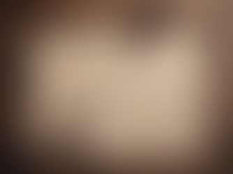Behind the Scenes of Fantasy Politics in Shattered Thrones