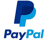 paypal_brand_identity_logo_new-590x500.png