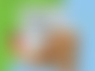 KAFEİN NEDİR? FAYDALARI VE ZARARLARI