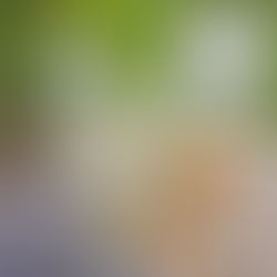 HERBALIFE YORUMLAR VE ŞİKAYETLER