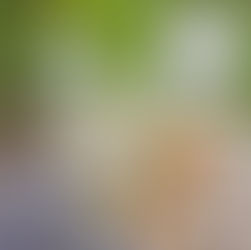 HERBALIFE YORUMLAR VE ŞİKAYETLER