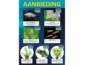 aanbiedingen venster rma november 2025.jpg