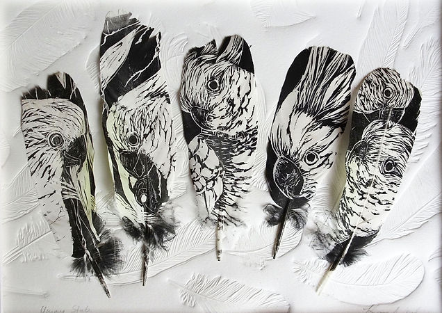 website_5 feathersembprint.jpg