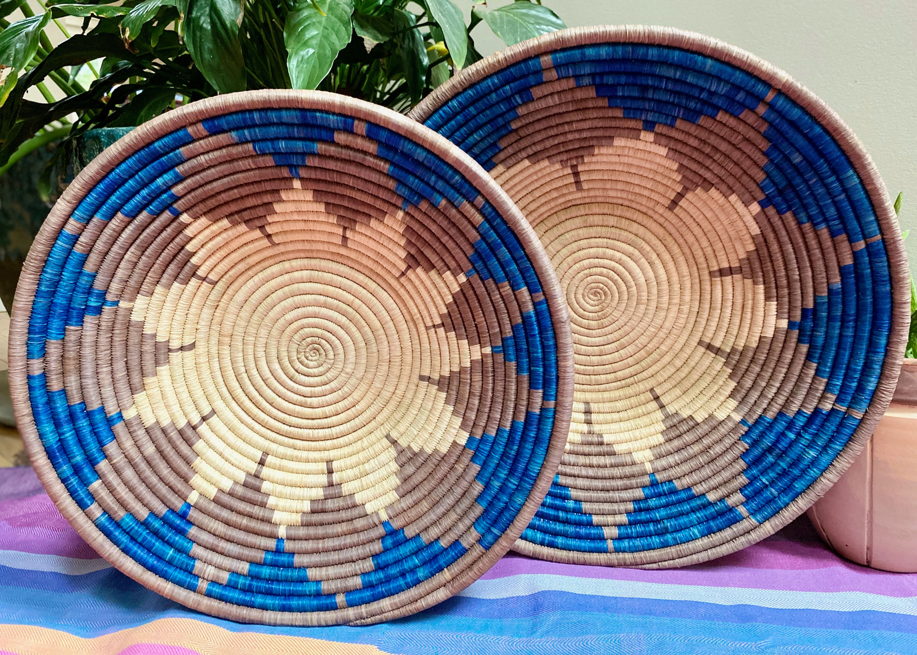 Grey and Blue Flower