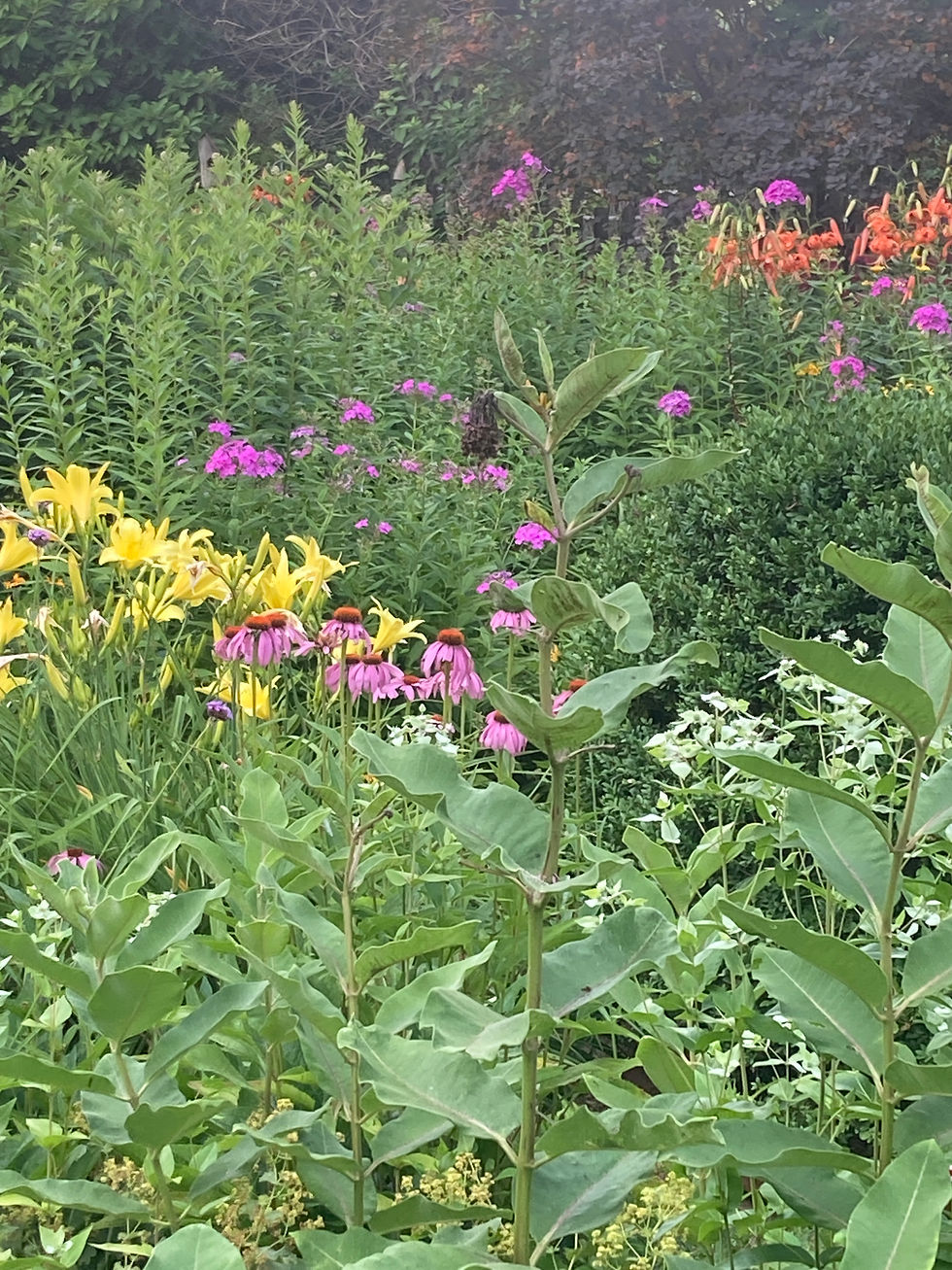 Native Haven Gardens NJ