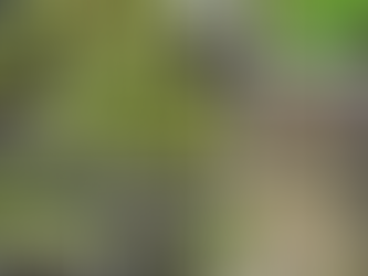 La vie au jardin - News d'avril 2026