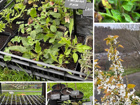 La vie au jardin - News d'avril 2026