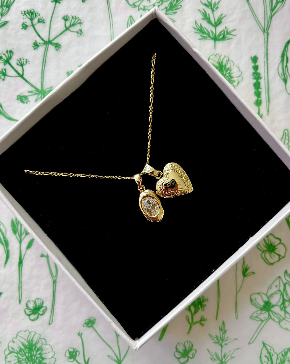 The 'Gem Drop Locket' Necklace