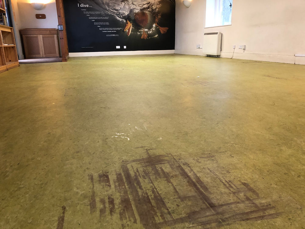 How Much Does It Cost To Strip & Seal Sheet Vinyl, Altro, Marmoleum