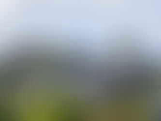 Who are the Best Floor Sanding Companies Operating in Edinburgh & Midlothian 