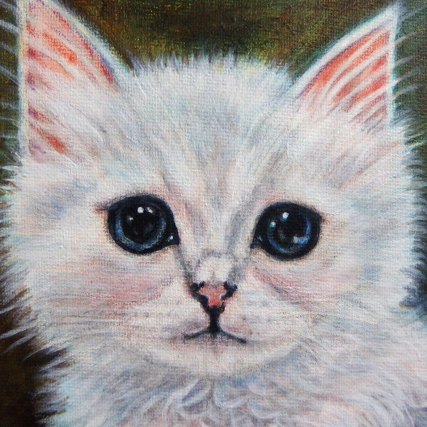 パンジーと可愛い子猫