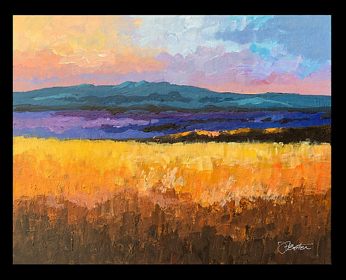 Fields of Gold.jpg
