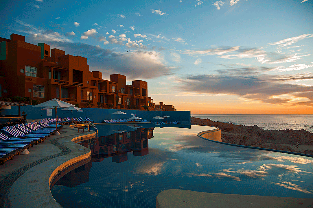 rain tree,cabos