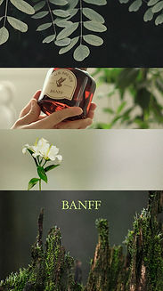 캄브레스-banff-썸네일.jpg