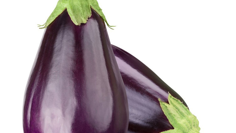 Eggplant