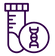 c5