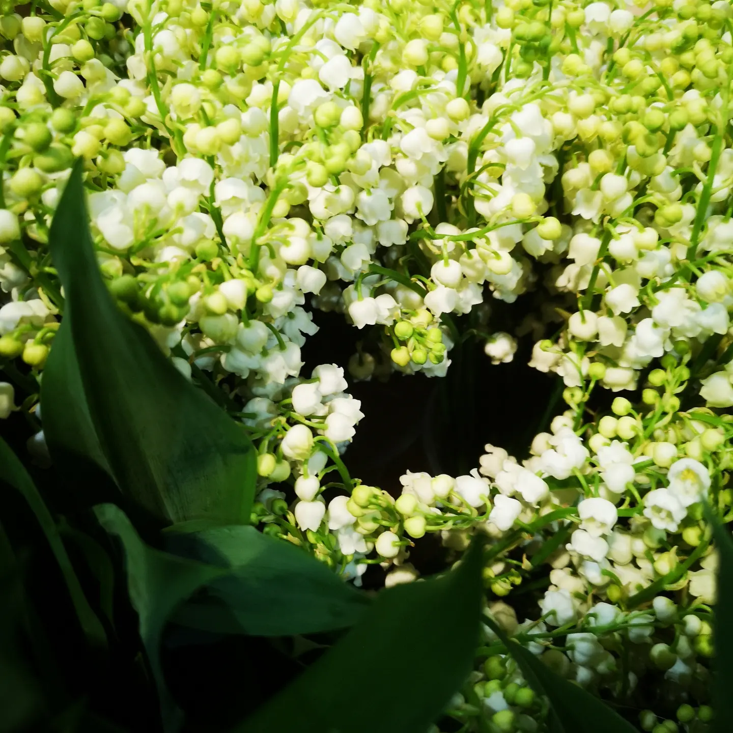 MUGUET "Ma brassée de bonheur" (disponible à partir du 29 avril 2025)