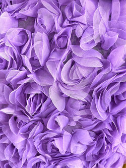 Chiffon Roses Lavender
