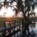 swampy louisiana, but happy.jpg