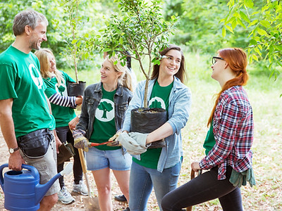 Planting Trees