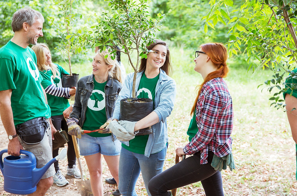Team Planting Trees