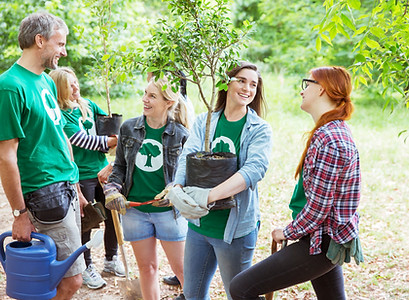 Planting Trees
