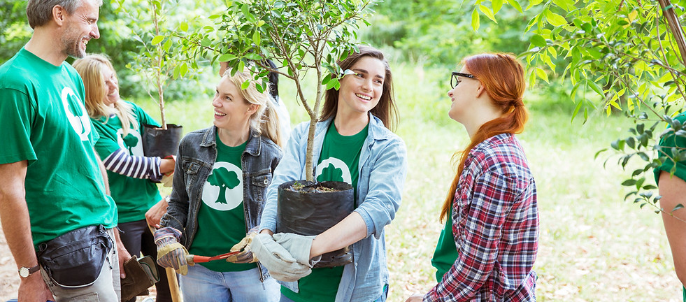 Planting Trees