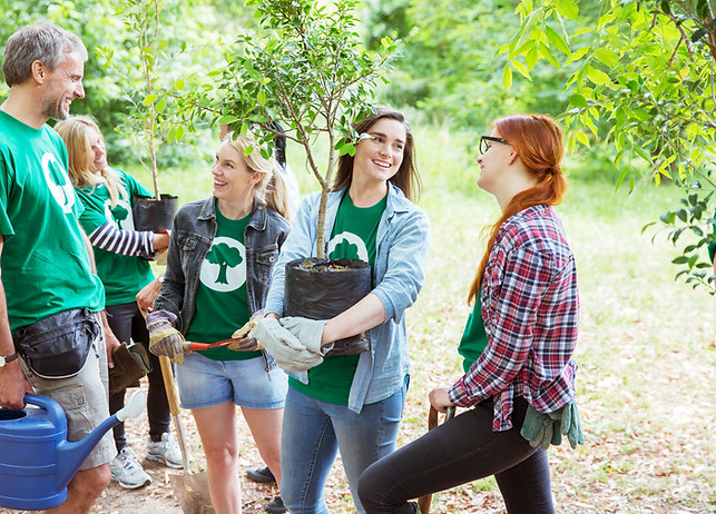 Planting Trees