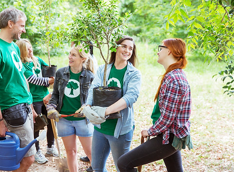 Planting Trees