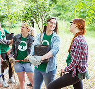 Planting Trees
