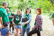 Planting Trees